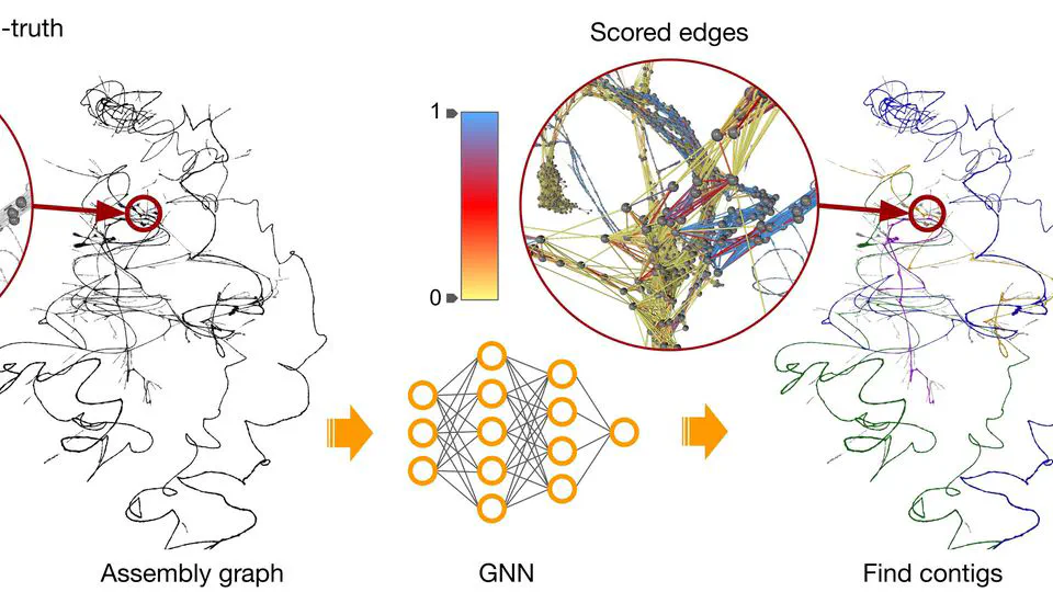 Geometric deep learning framework for de novo genome assembly