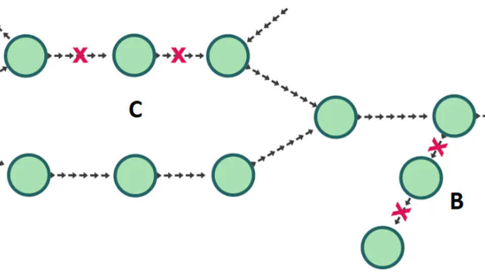 A step towards neural genome assembly